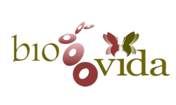 clientes exytus contabilidade - prova social