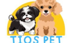 clientes exytus contabilidade - tios pet